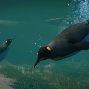 Planet Zoo: Aquatic Pack [PS5] - изображение 3