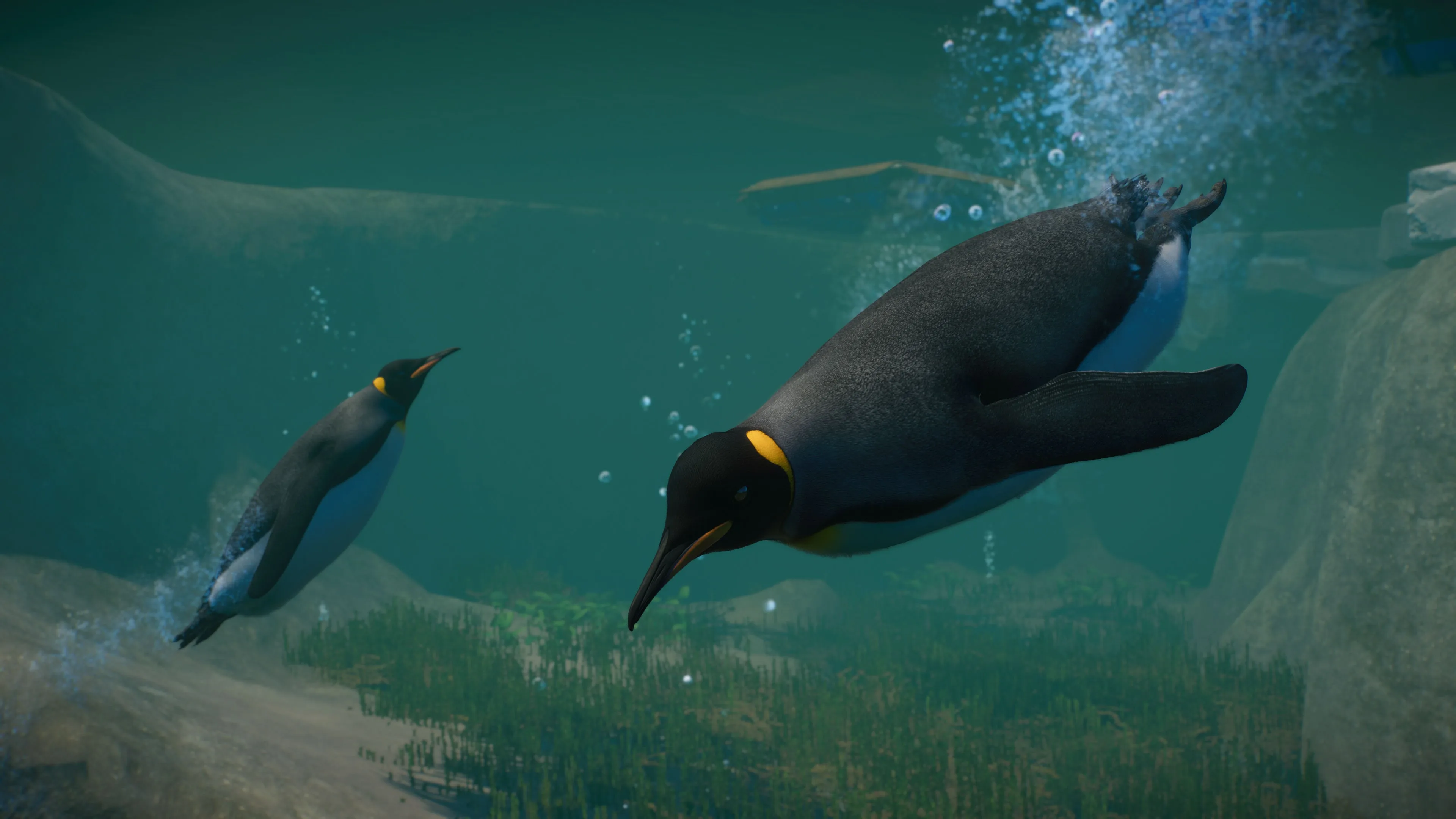 Planet Zoo: Aquatic Pack [PS5] - изображение 3