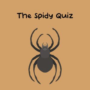 The Spidy Quiz [PS5] cover