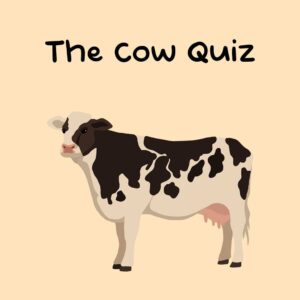 The Cow Quiz [PS5]