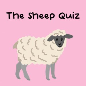 The Sheep Quiz [PS5]