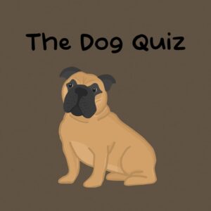 The Dog Quiz [PS5] cover