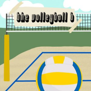 The Volleyball B [PS5]