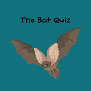 The Bat Quiz [PS5]