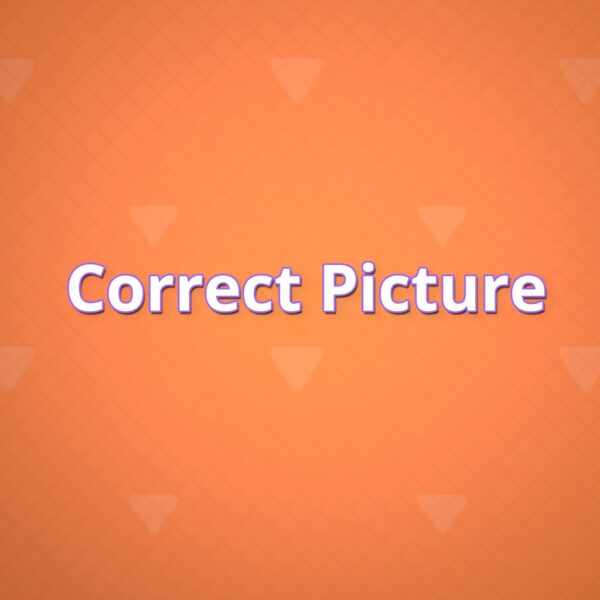 Correct Picture [PS4, PS5]