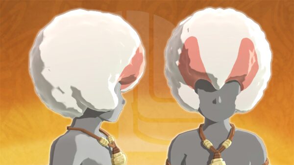 Monster Hunter Stories 2: Wings of Ruin - Rider's Hairstyle: Lumu Afro [PS4] - изображение 2