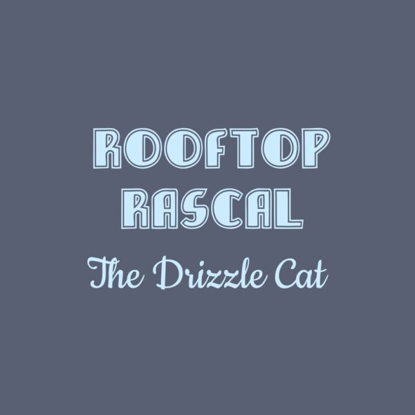Rooftop Rascal: The Drizzle Cat [PS5] - изображение 1