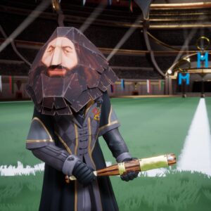 Harry Potter: Quidditch Champions PS4 & PS5 - изображение 2