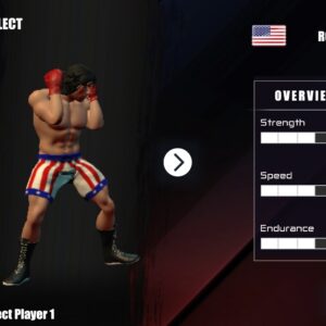 Rookie Boxing [PS5] - изображение 2