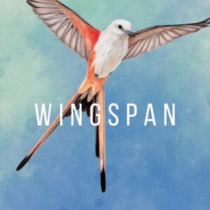 Wingspan PS4 &amp; PS5 cover