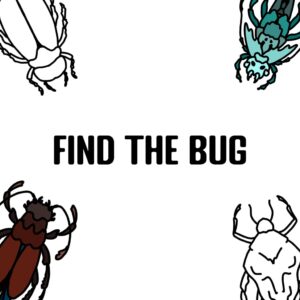 Find the Bug [PS5]