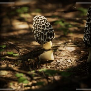 Morels The Hunt 2 [PS5] - изображение 2
