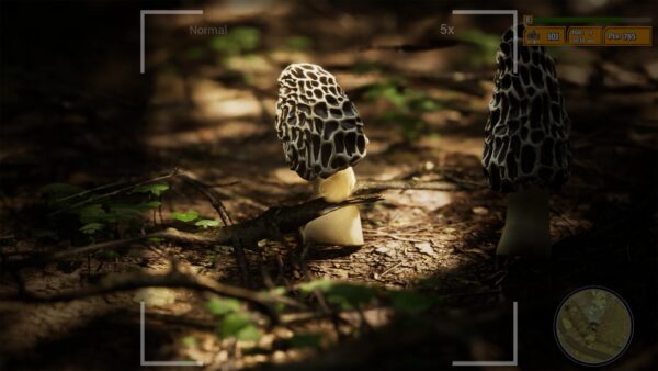 Morels The Hunt 2 [PS5] - изображение 2