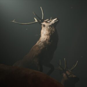 Project 13: Taxidermy Trails [PS5] - изображение 2