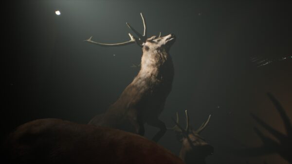 Project 13: Taxidermy Trails [PS5] - изображение 2