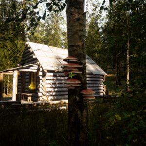 Morels The Hunt 2 [PS5] - изображение 3