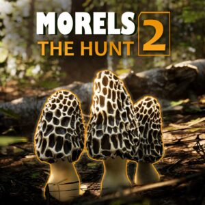 Morels The Hunt 2 [PS5]