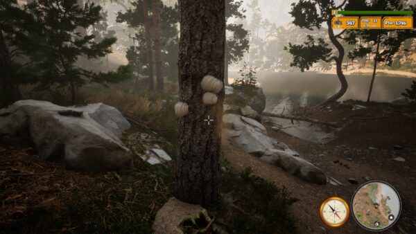 Morels The Hunt 2 [PS5] - изображение 4