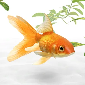 AAA Dynamic Scenes - Golden Fish Aquarium Dynamic Scene [PS4,&nbsp;PS5] - изображение 2