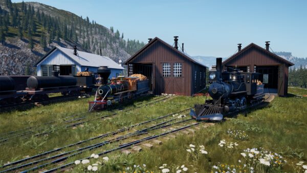 Railroads Online [PS5] - изображение 2