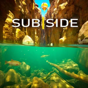 Subside [PS5]