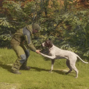 theHunter: Call of the Wild - German Shorthaired Pointer [PS4] - изображение 4