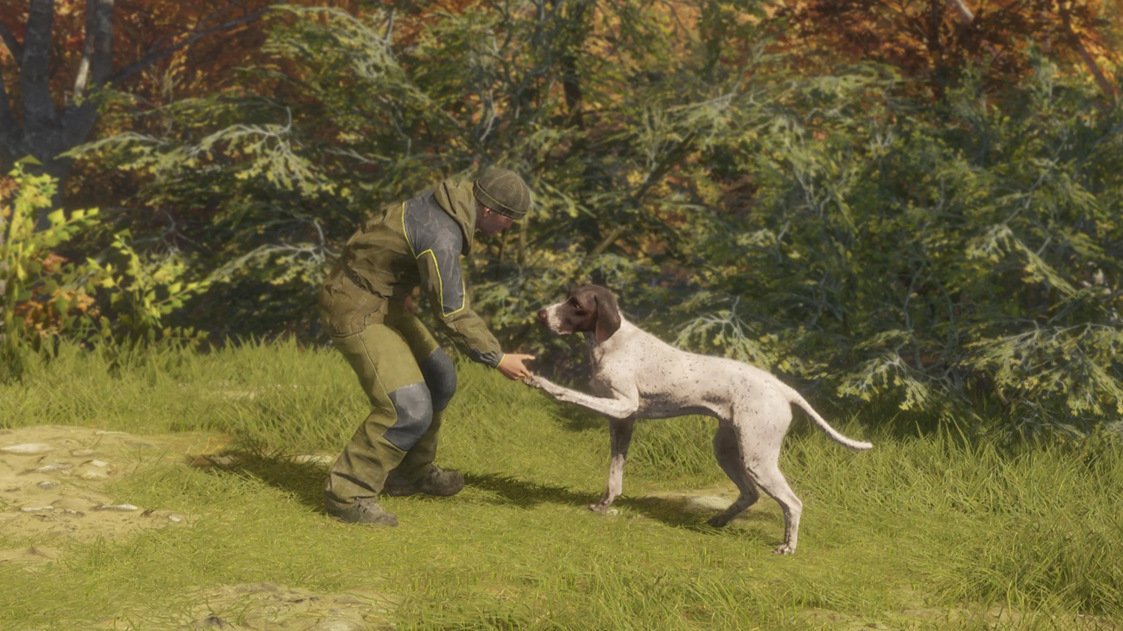 theHunter: Call of the Wild - German Shorthaired Pointer [PS4] - изображение 4