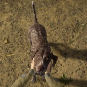 theHunter: Call of the Wild - German Shorthaired Pointer [PS4] - изображение 3