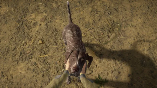 theHunter: Call of the Wild - German Shorthaired Pointer [PS4] - изображение 3