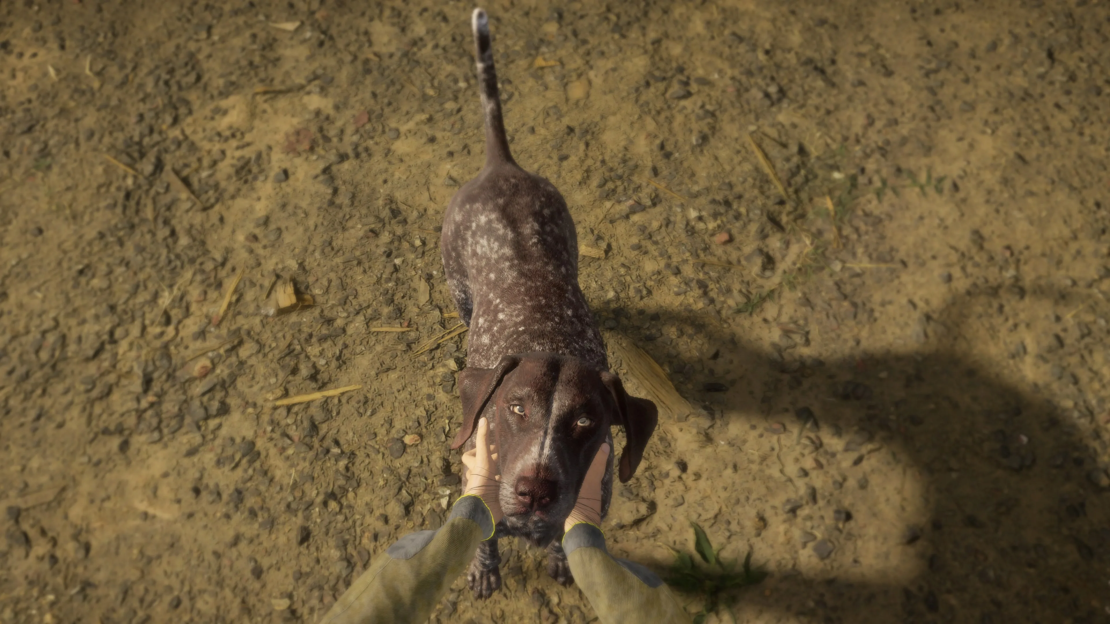 theHunter: Call of the Wild - German Shorthaired Pointer [PS4] - изображение 3
