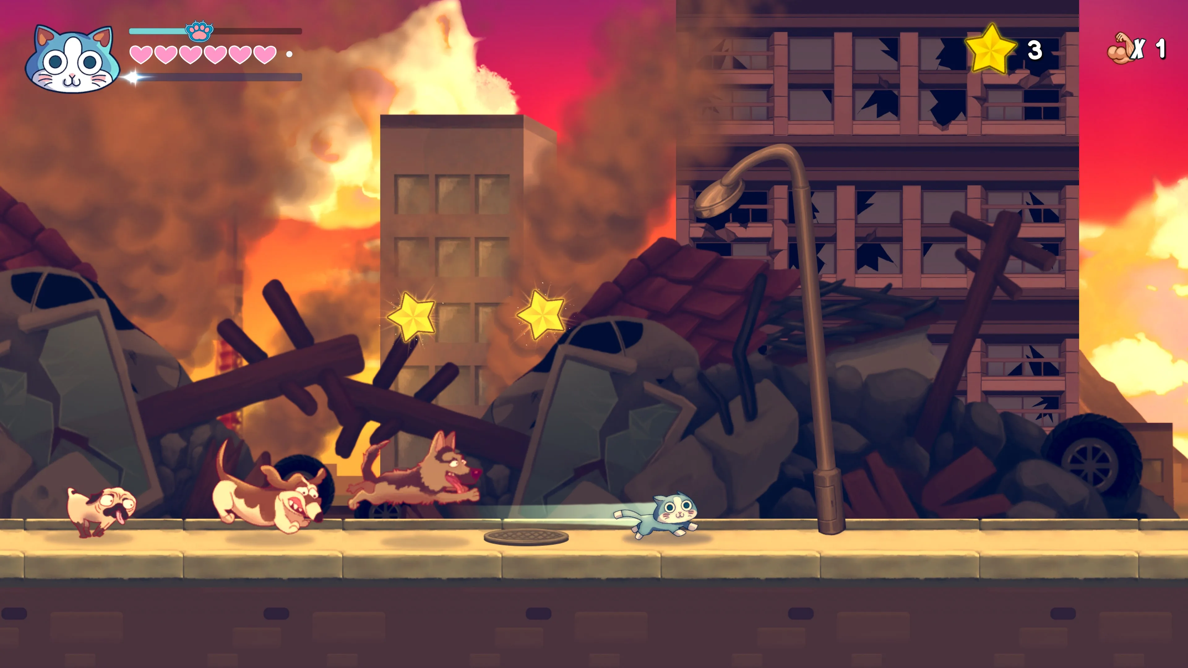 KinnikuNeko: SUPER MUSCLE CAT - PS4 & PS5 - изображение 3