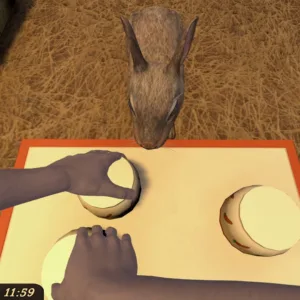 Pets Hotel [PS5] - изображение 2