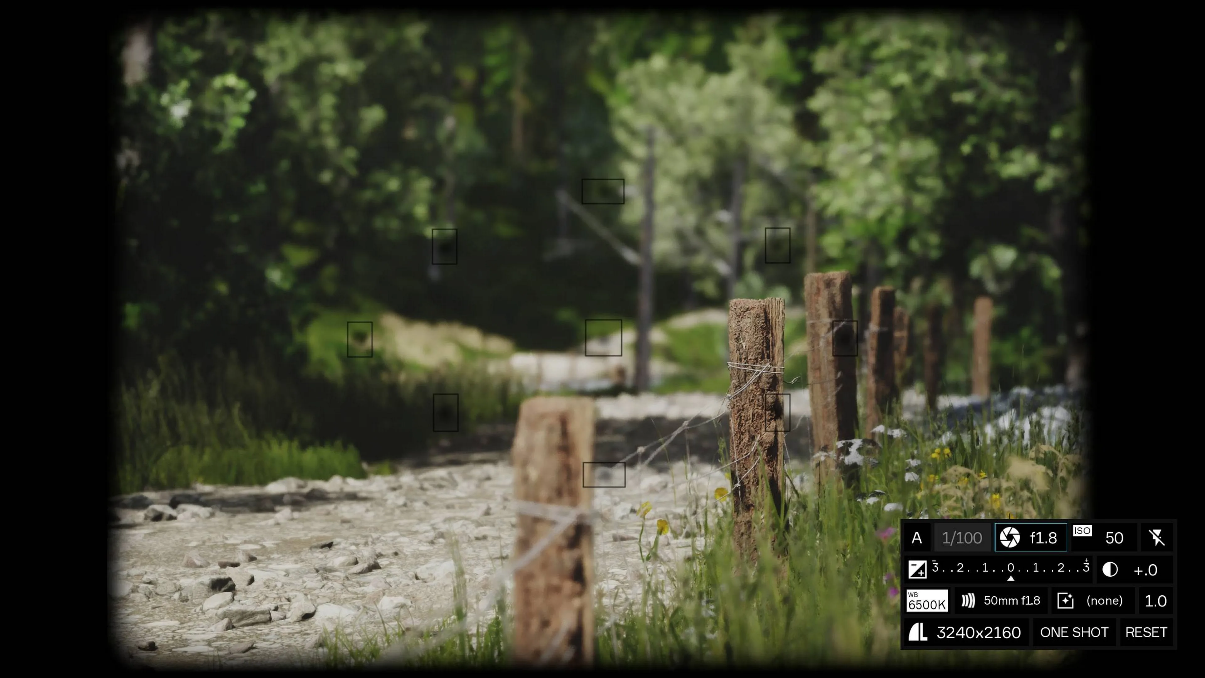 Lushfoil Photography Sim [PS5] - изображение 3