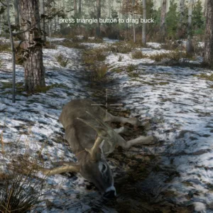 Deer Hunting Camp [PS4] - изображение 3