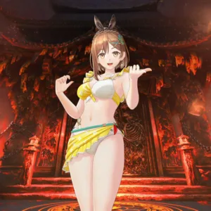 WARRIORS: Abyss - Atelier Series Vacation Costume Set [PS4,&nbsp;PS5] - изображение 3