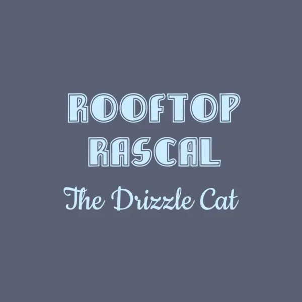 Rooftop Rascal: The Drizzle Cat [PS4] - изображение 1
