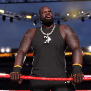 WWE 2K25 Dunk & Destruction Pack [PS4] - изображение 2