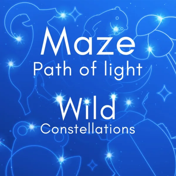 Maze: Path of Light - Wild Constellations [PS4]