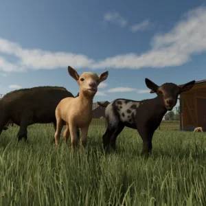 Farming Simulator 25: Highlands Fishing Edition [PS5] - изображение 2