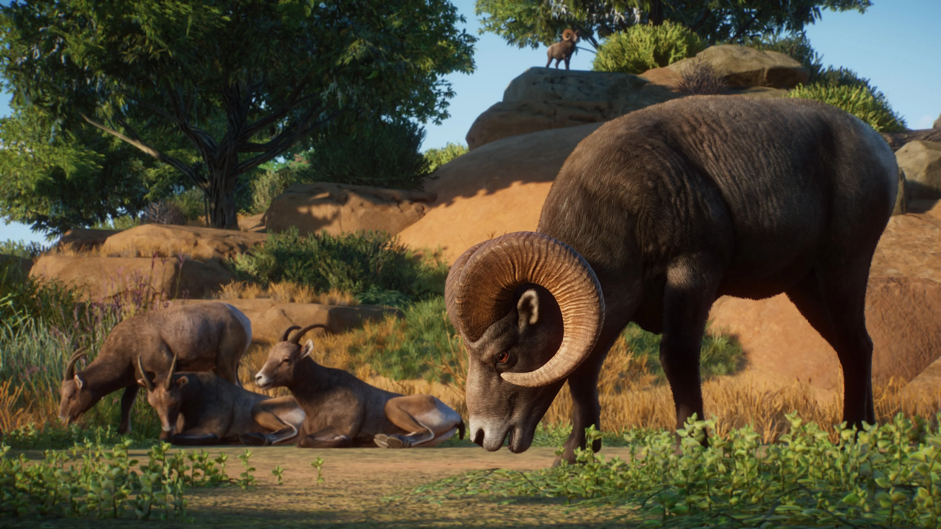 Planet Zoo: Americas and Asia Bundle [PS5] - изображение 3