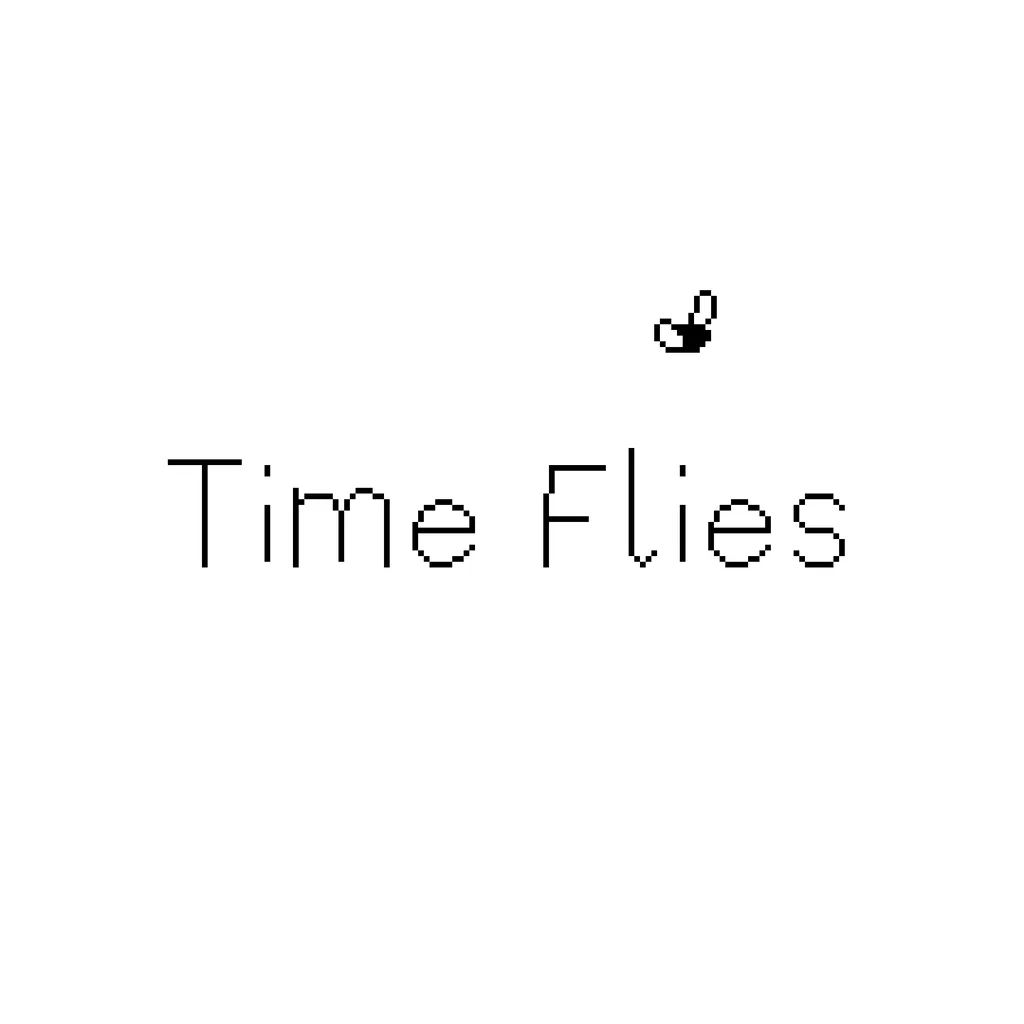 Time Flies [PS5] - изображение 1