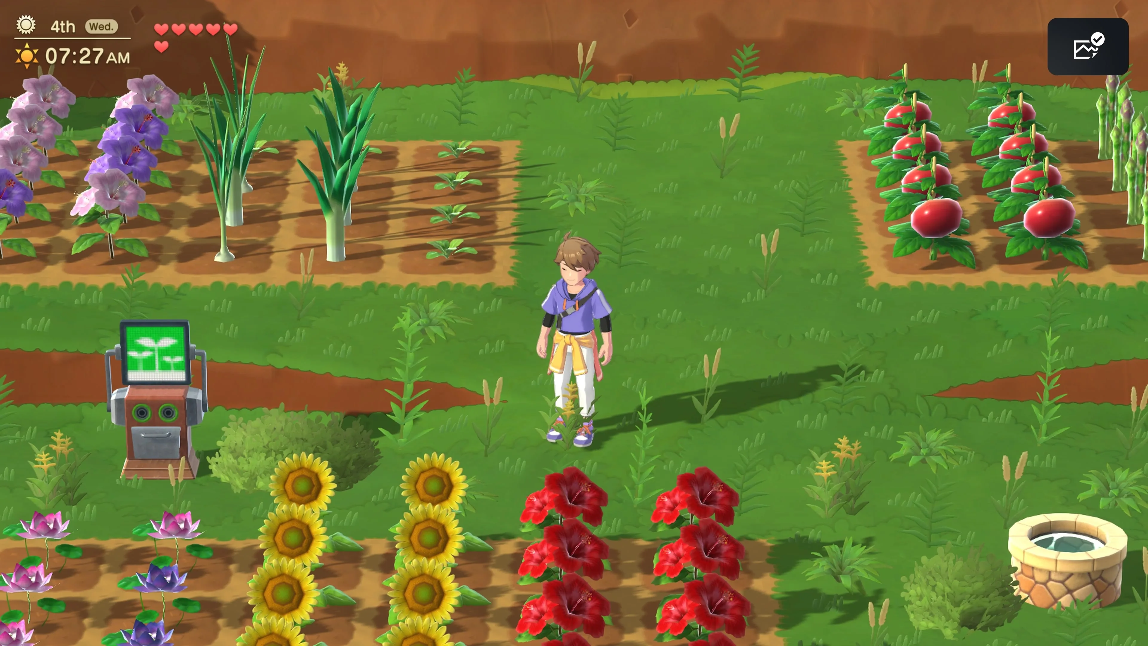 Harvest Moon: Home Sweet Home Special Edition [PS5] - изображение 2