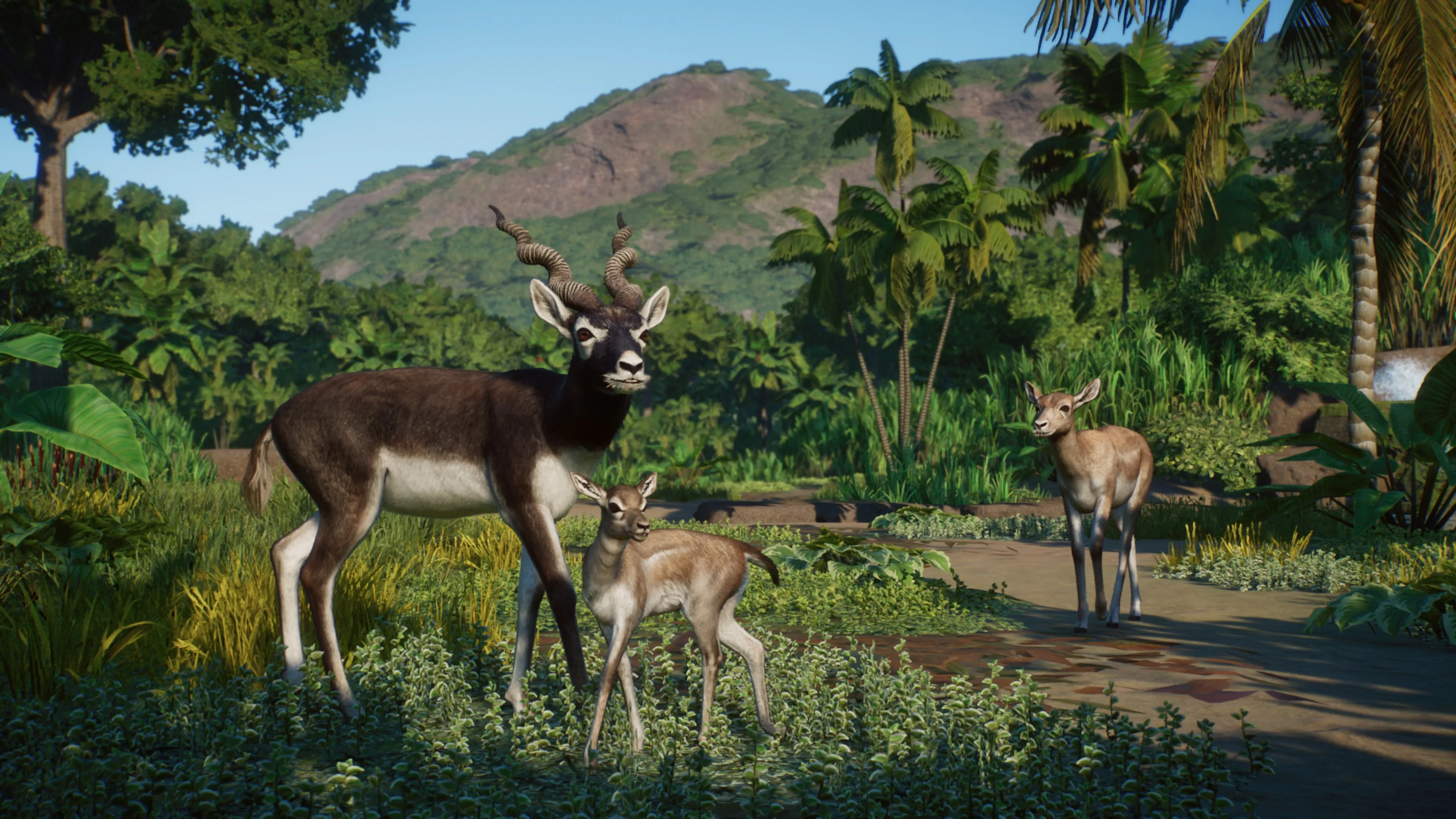 Planet Zoo: Asia Animal Pack [PS5] - изображение 3