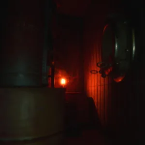 P1: Anchor Light [PS5] - изображение 4