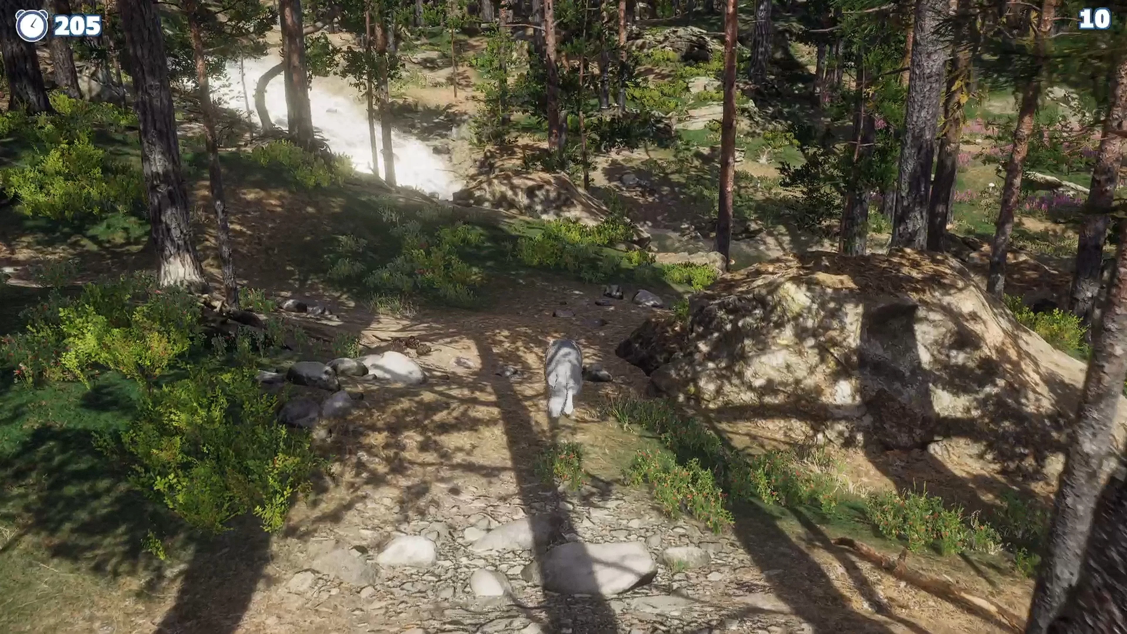 Cazzarion: Raccoon Valley [PS4] - изображение 4