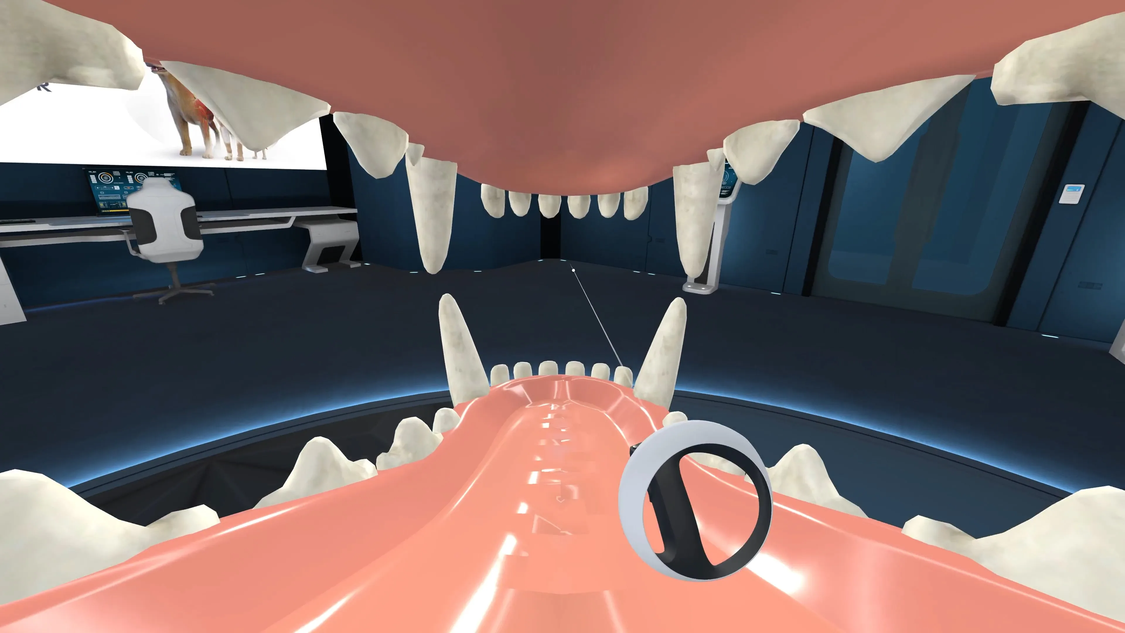 Animal Anatomy VR [PS5] - изображение 3