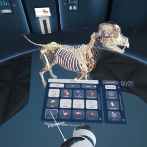 Animal Anatomy VR [PS5] - изображение 2
