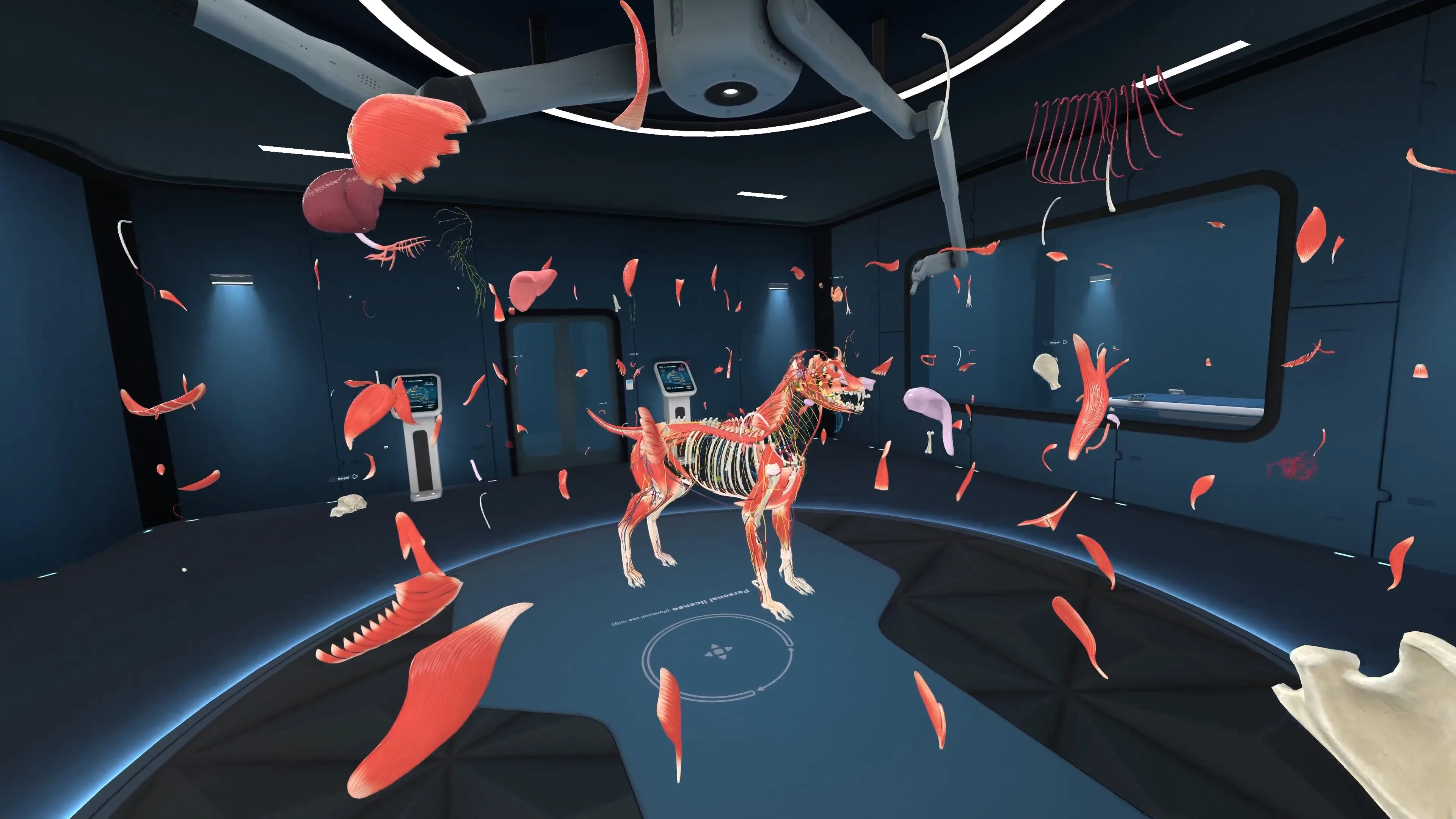 Anatomy VR Bundle [PS5] - изображение 3