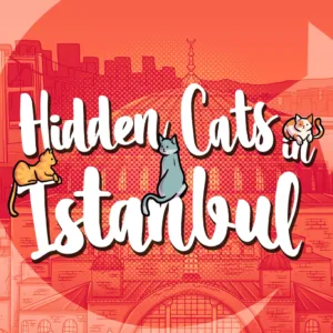 Hidden Cats in Istanbul [PS5]