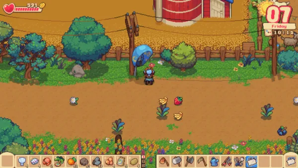 Farming Adventure Double Pack - Orange Season + Garden Witch Life [PS5] - изображение 2